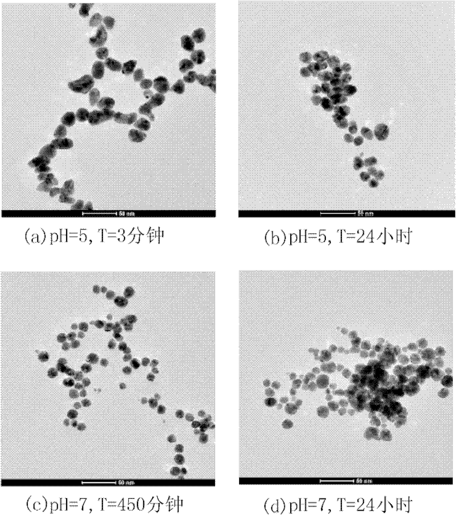 Preparation method of gold nanoparticles