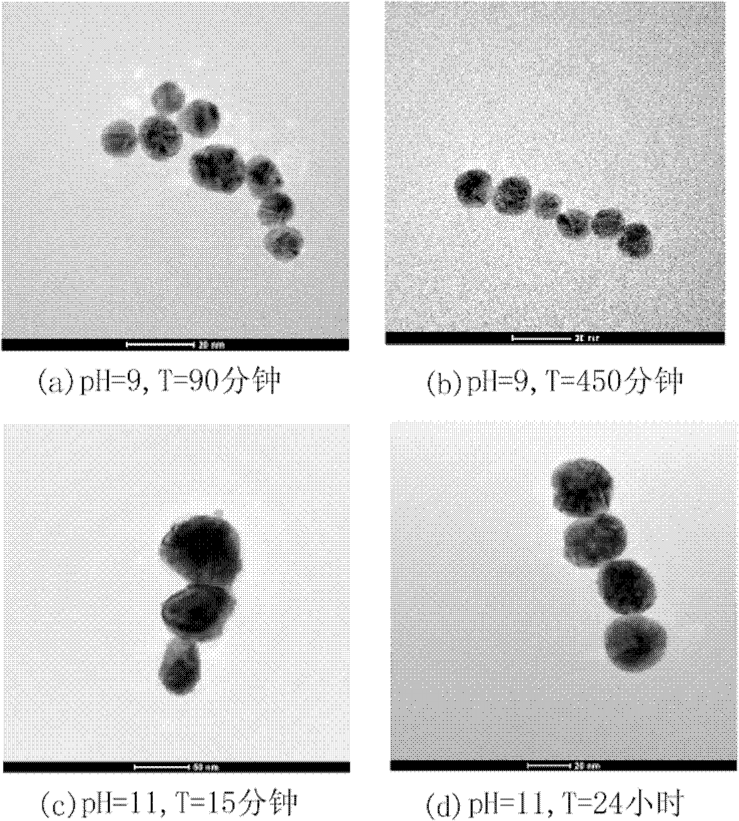 Preparation method of gold nanoparticles