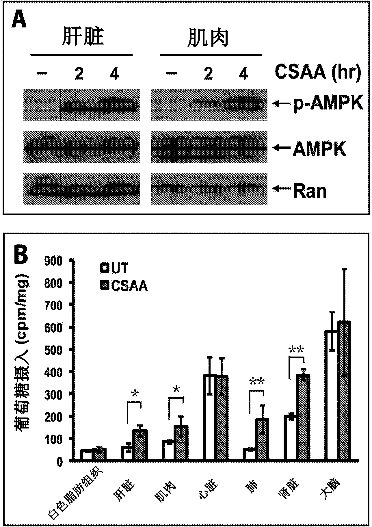 Treatment of type II diabetes and diabets-associated diseases with safe chemical mitochondrial uncouplers