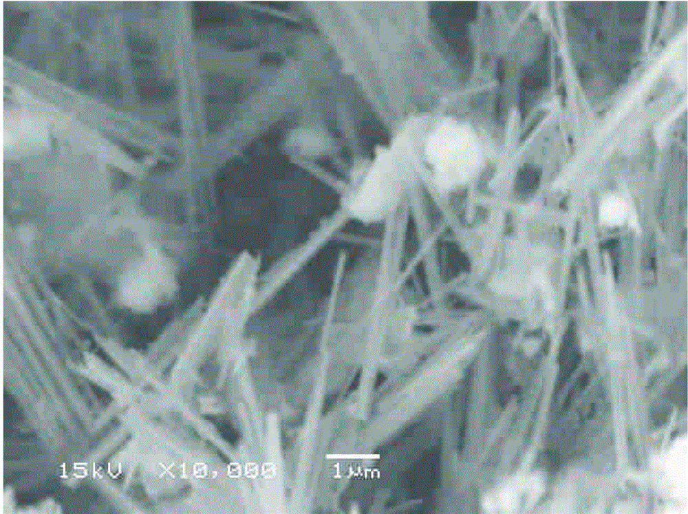 Method for reselecting vanadium-titanium magnetite concentrate by using oxidization alkaline leaching, classification and reverse flotation