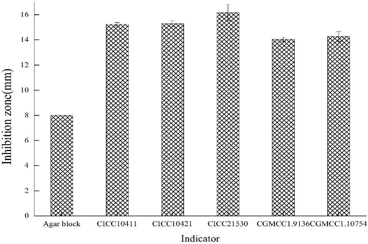 Strain, bacterium agent and application