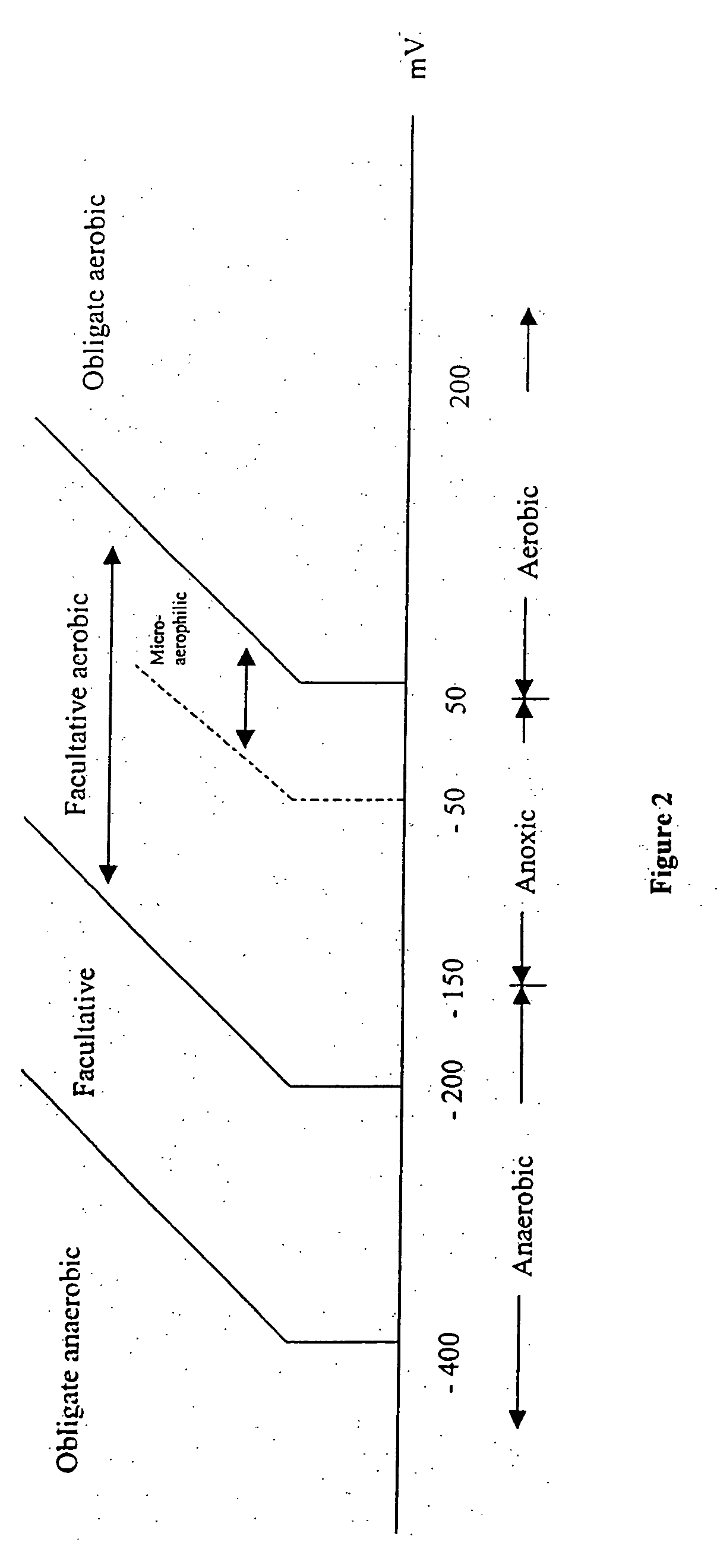 Apparatus and methods for control of waste treatment processes