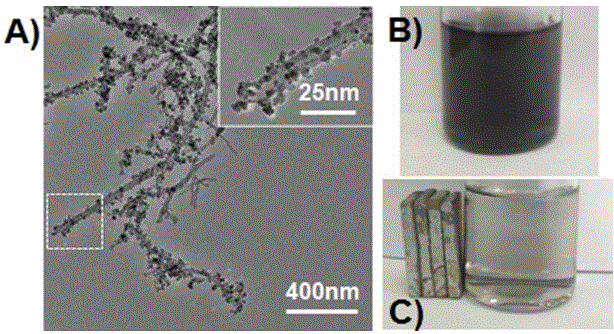 CNT@Fe3O4@C modified polymer hybrid proton exchange membrane and preparation method thereof