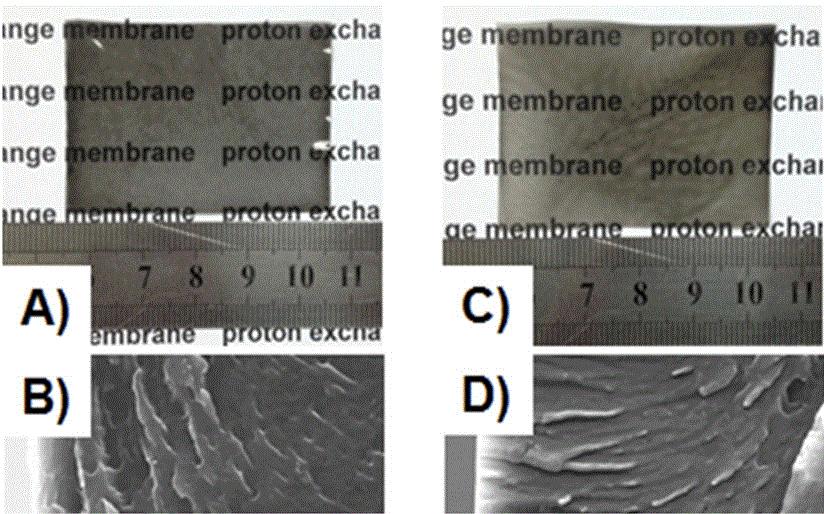 CNT@Fe3O4@C modified polymer hybrid proton exchange membrane and preparation method thereof