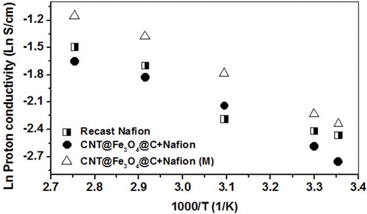 CNT@Fe3O4@C modified polymer hybrid proton exchange membrane and preparation method thereof