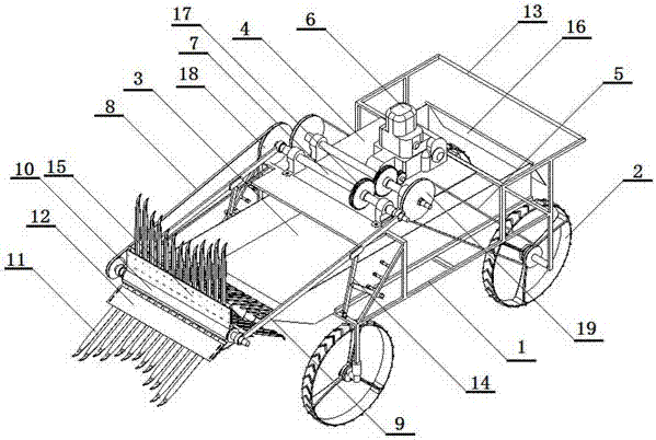 Device for collecting chrysanthemums in batches