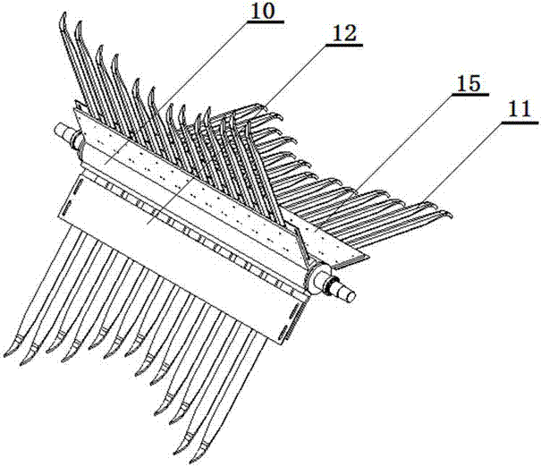 Device for collecting chrysanthemums in batches