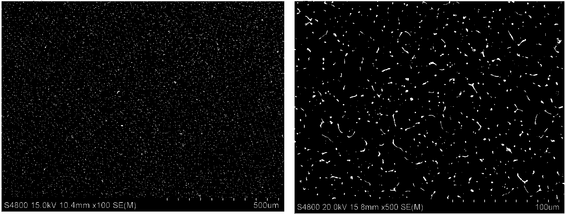 Quasicrystal-strengthened Mg-6Zn-3Y alloy with ultrafine solidification texture and preparation method thereof