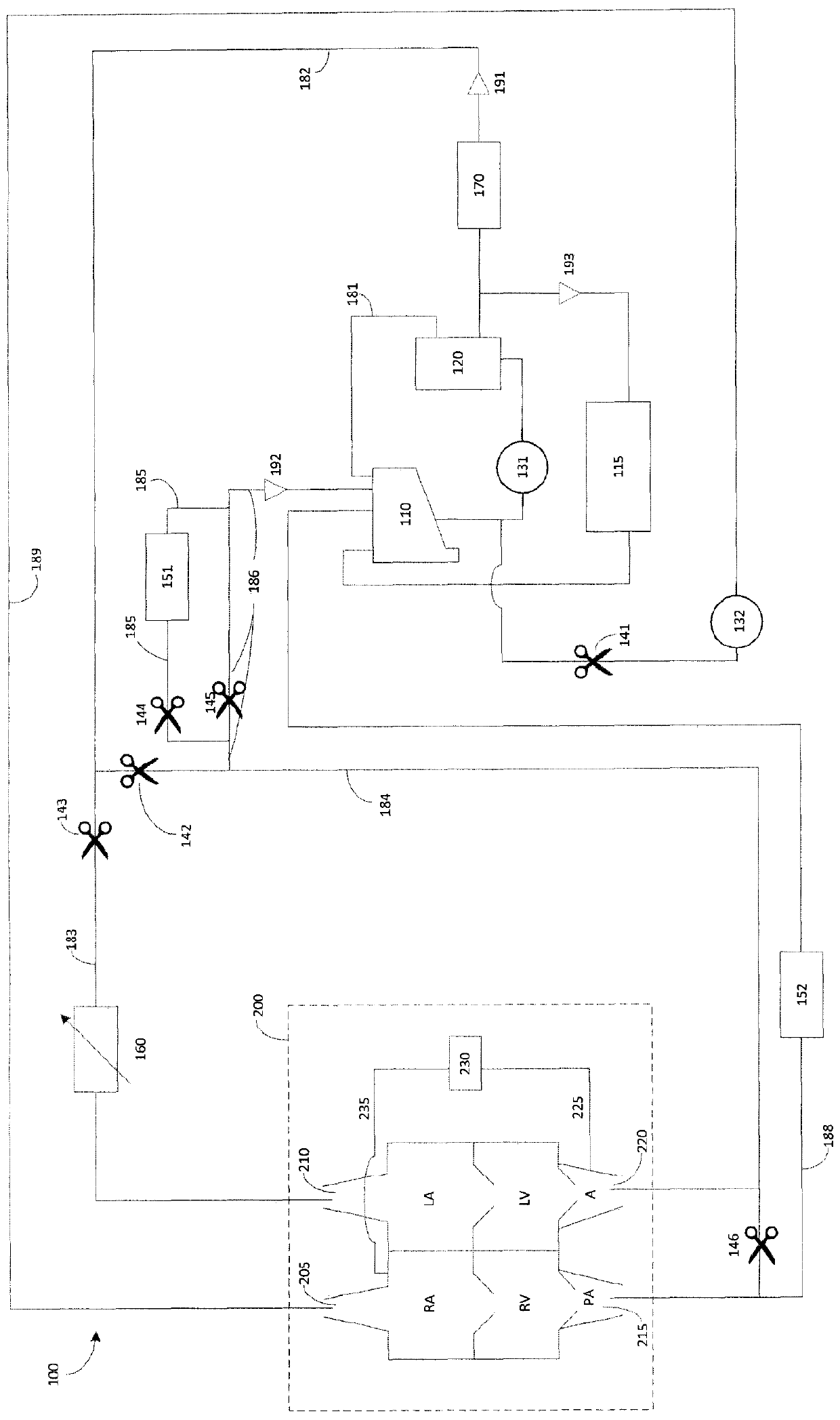 Method and system for ex-vivo heart perfusion