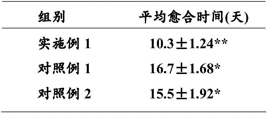 Method for constructing trauma animal model and promoting wound healing