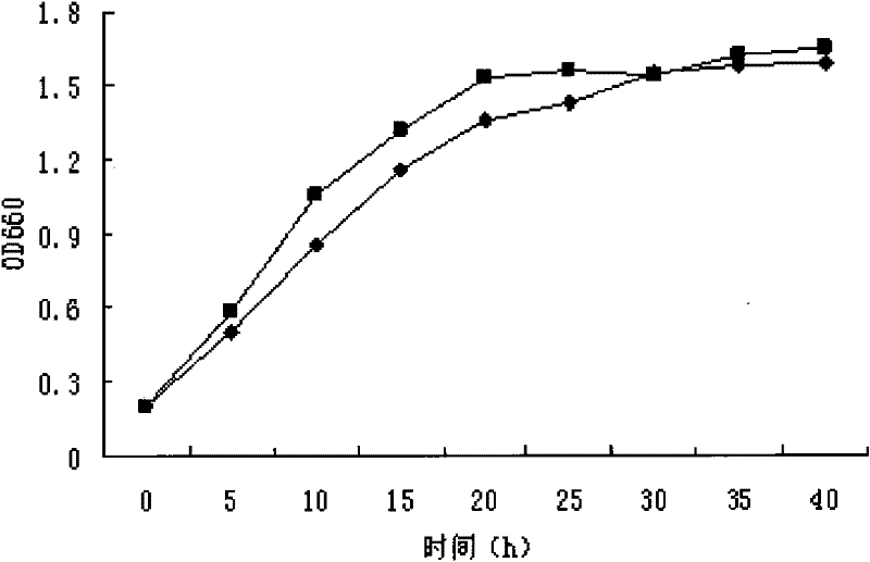 A culture medium enriched for Streptococcus faecalis