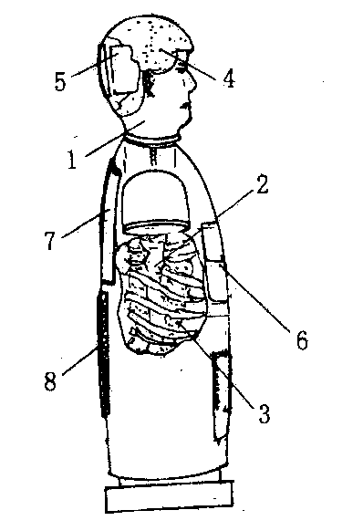 Simulation human body model for X-ray basic characteristic experiment