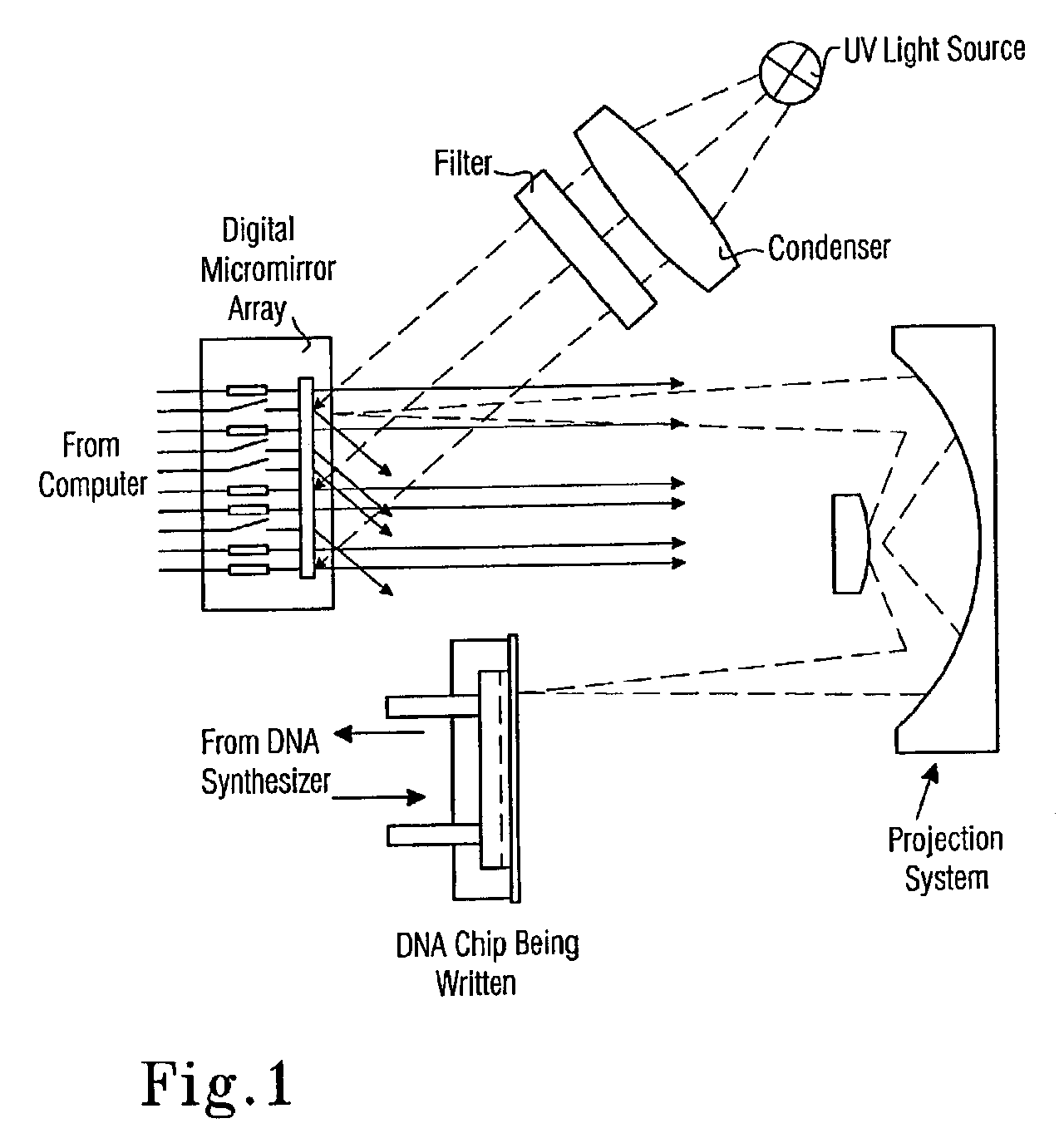 Microfluidic device and method with trapping of sample in cavities having lids that can be opened or closed