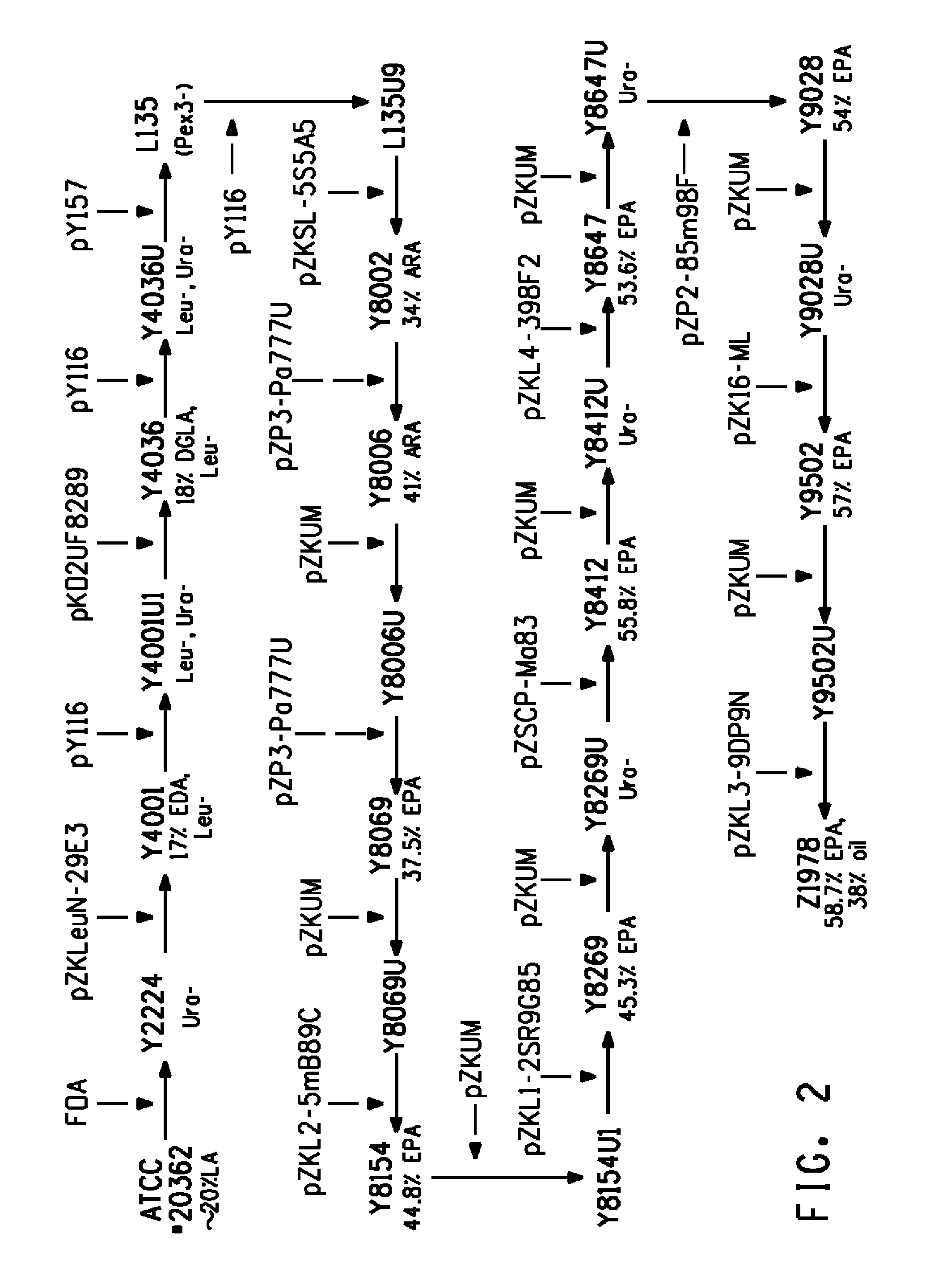 Eicosapentaenoic acid concentrate