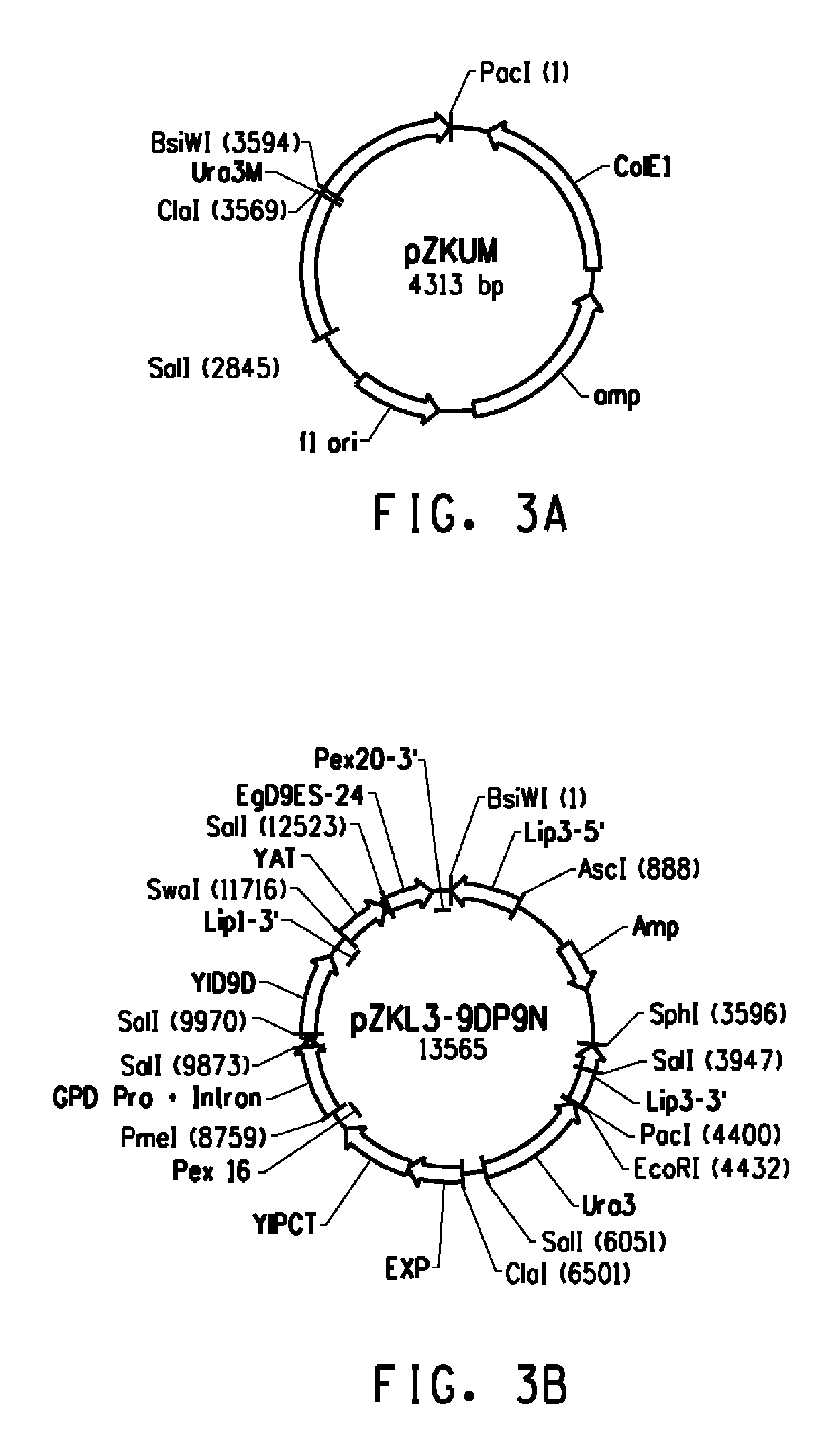 Eicosapentaenoic acid concentrate