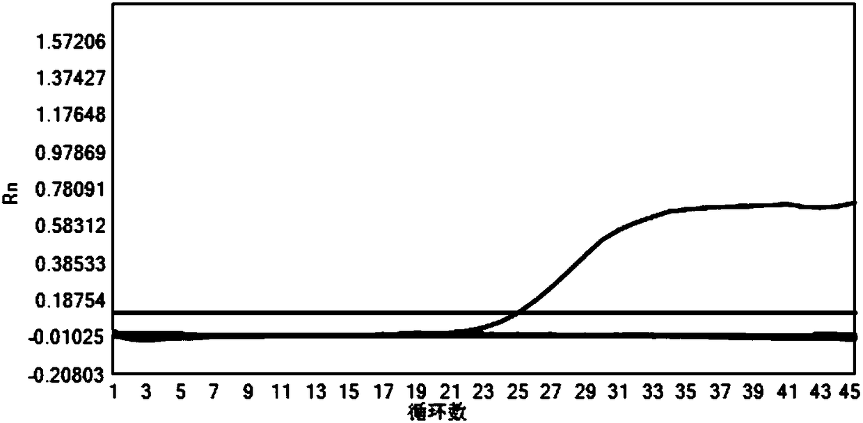 Primer, probe and kit for detecting genotype of HPV (Human Papillomavirus) and usage method of kit