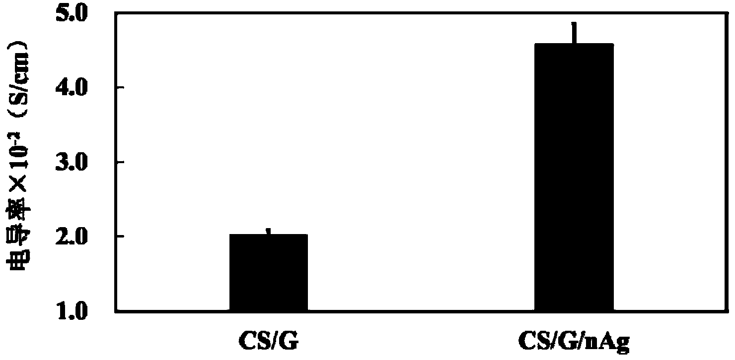 Chitosan/gelatin/nano-silver conductive antibacterial material and preparation method thereof