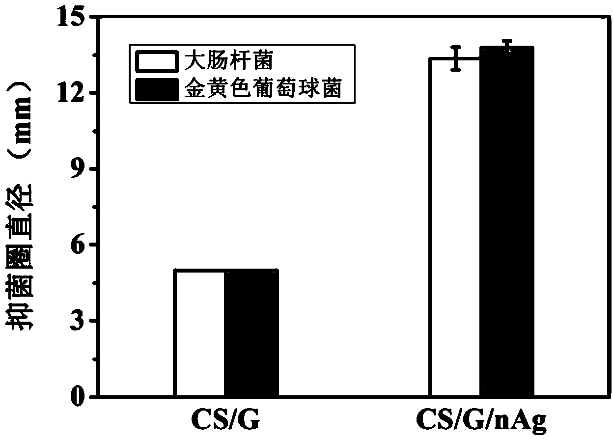 Chitosan/gelatin/nano-silver conductive antibacterial material and preparation method thereof