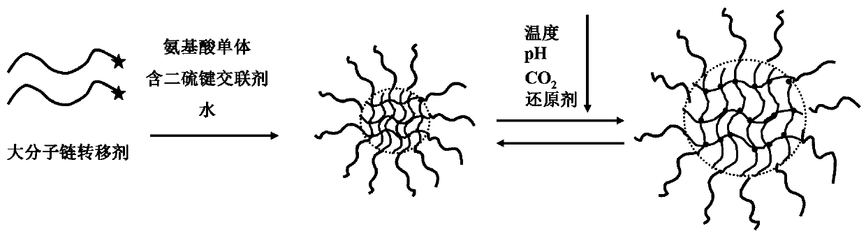 A quadruple stimuli-responsive polyamino acid nanogel and its preparation method and application