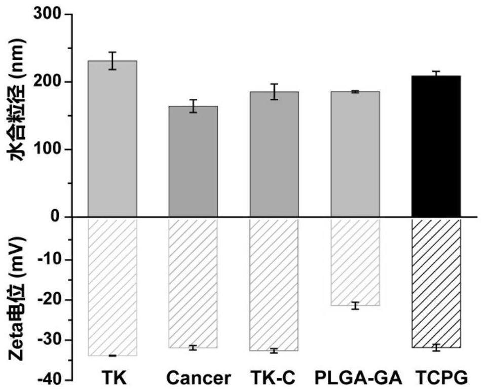 Preparation method and application of multifunctional bionic nano-drug