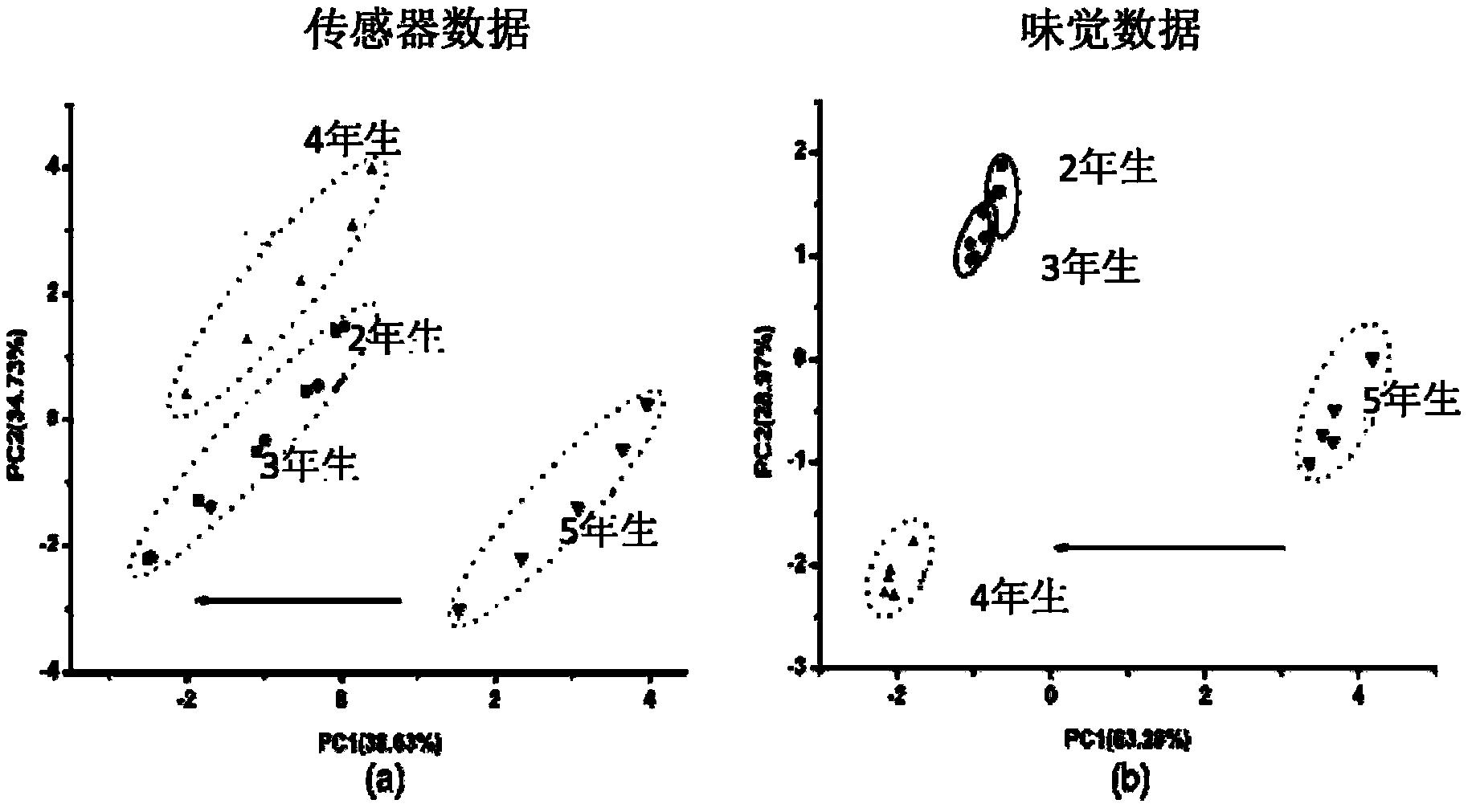 Taste information based method for rapid evaluation of ginsengs of different ages