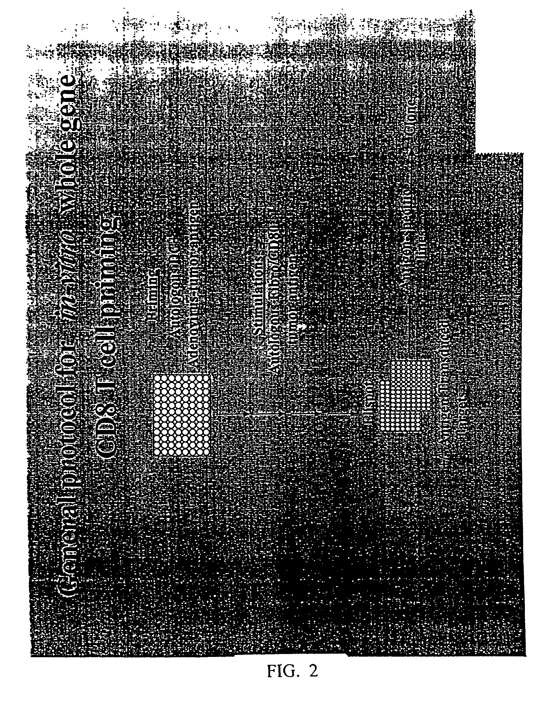 Compositions and methods for the detection, diagnosis and therapy of hematological malignancies