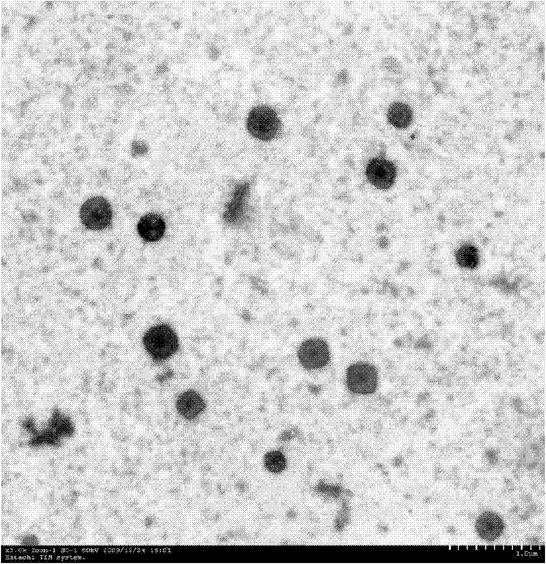 Pectin-adriamycin coniuncate lyophilized preparation, and preparation method thereof