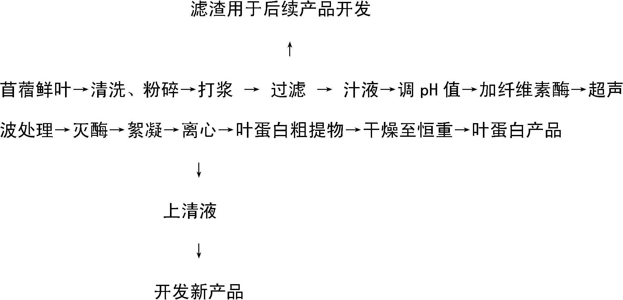 Method for extracting alfalfa leaf protein by ultrasonic-assisted enzyme process