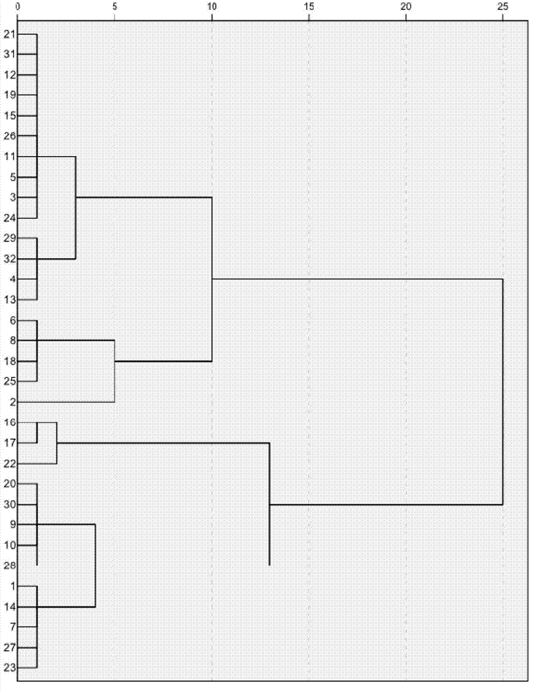 Method for screening variety with relatively-high phosphor utilization efficiency from multiple cut-flower chrysanthemum varieties