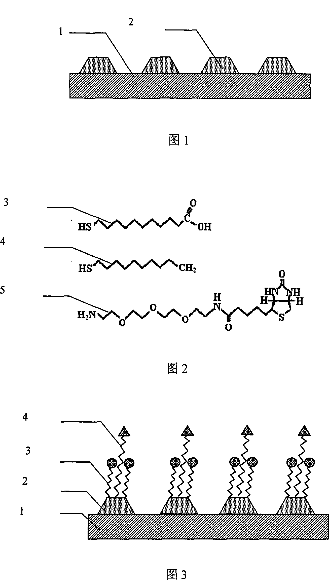 High sensitivity nano biosensor production method