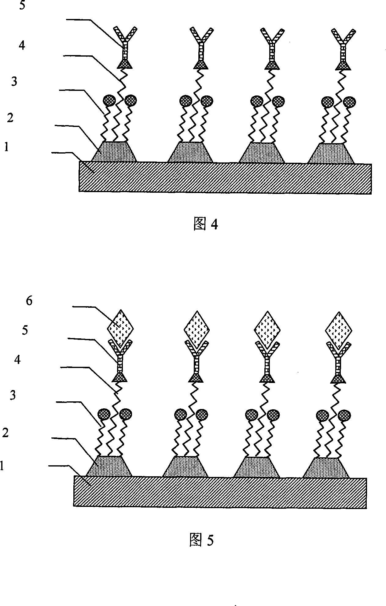 High sensitivity nano biosensor production method