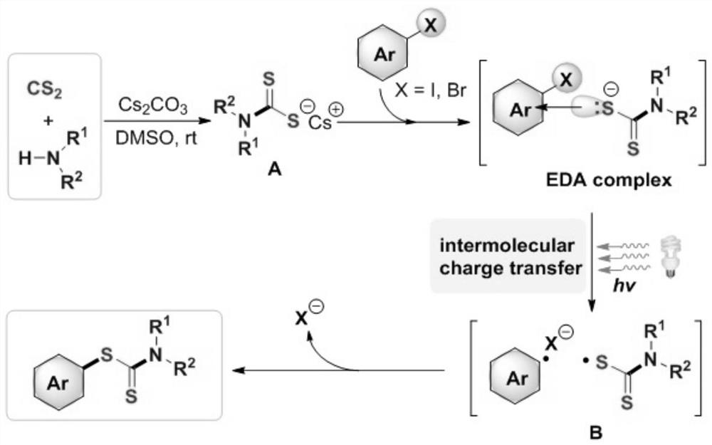 Synthesis method and application of a kind of visible light-promoted dithiocarbamate compound