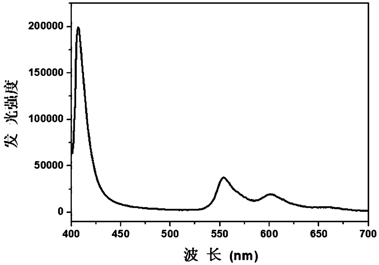 Film with room temperature phosphorescence and preparation method thereof