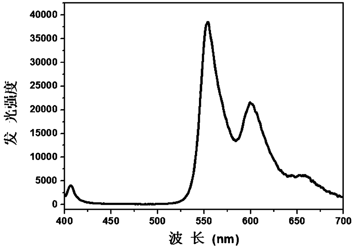 Film with room temperature phosphorescence and preparation method thereof