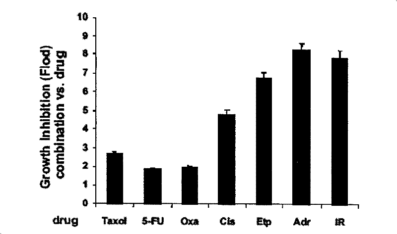 Use of PUMA in tumor chemoradiotherapy sensibilization