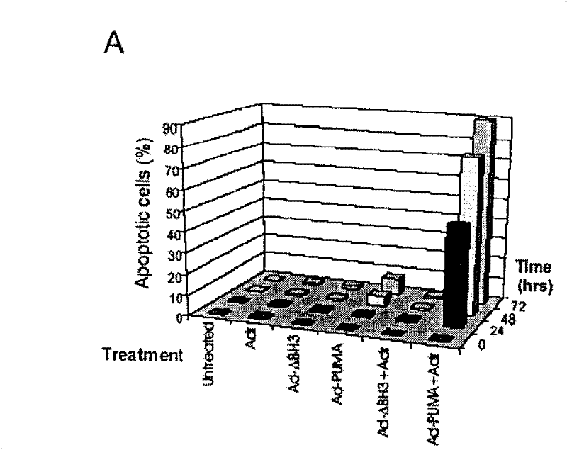 Use of PUMA in tumor chemoradiotherapy sensibilization