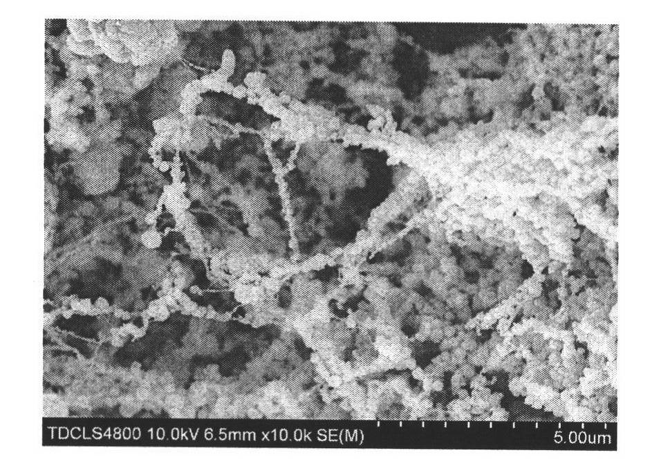 Method for preparing cuprous oxide/ bacterial cellulose nano composite material