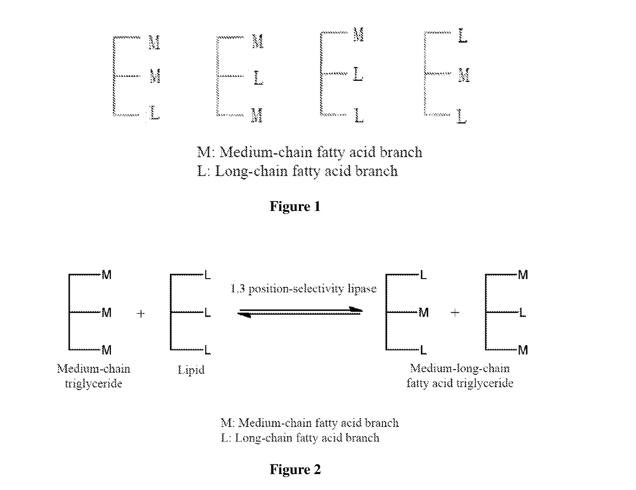 Method for Preparing Medium-Long-Chain Triglyceride Using Packed Bed Reactor