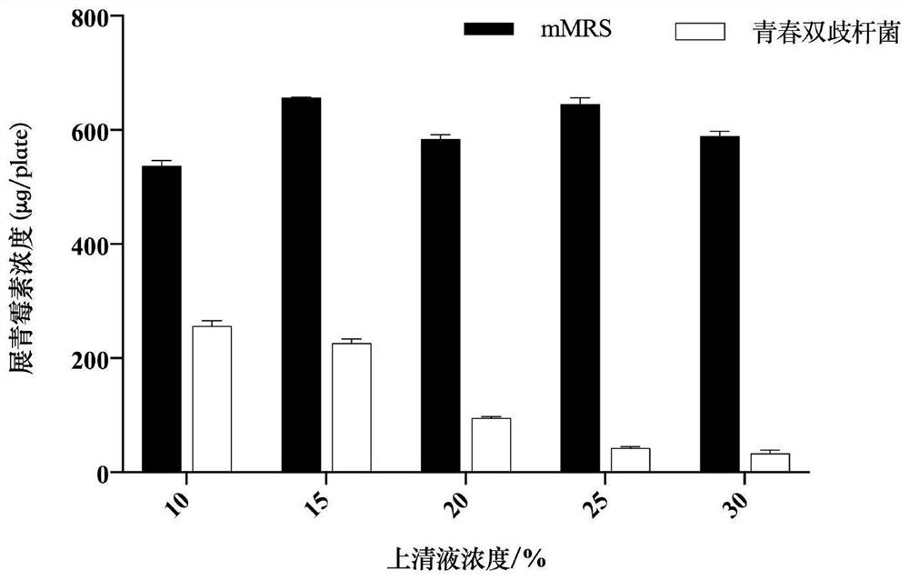 Microorganism composite microbial inoculum capable of restraining mycelial fungi and application of microorganism composite microbial inoculum