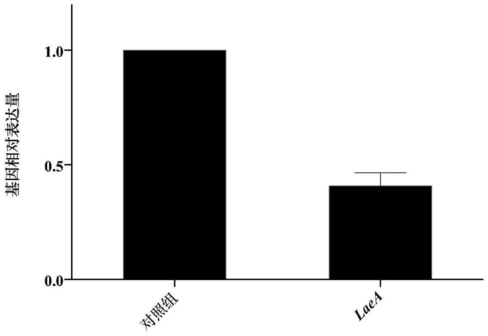 Microorganism composite microbial inoculum capable of restraining mycelial fungi and application of microorganism composite microbial inoculum