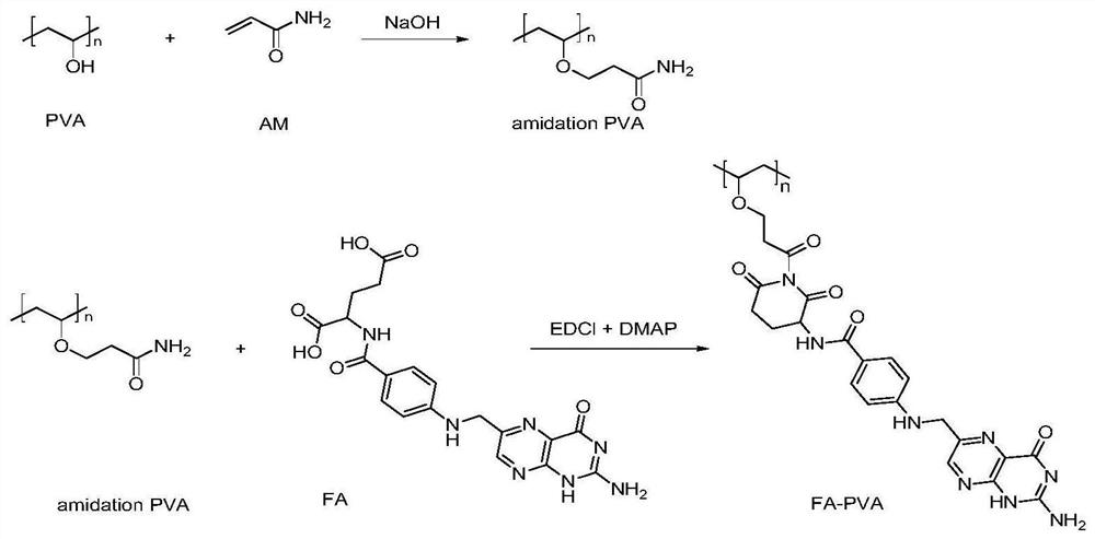 A kind of folic acid functionalized modified polyvinyl alcohol medicinal polymer material for soluble microneedle and preparation method thereof