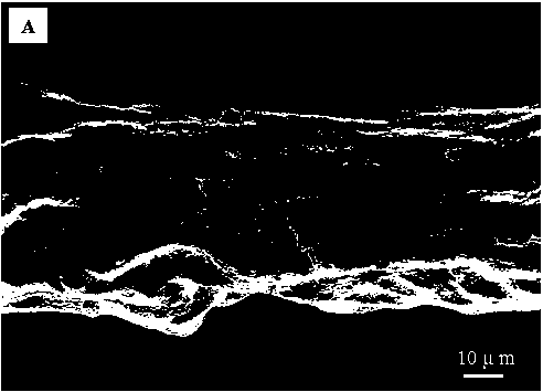 Method for preparing silver nano-wire and graphene-based calcium alginate composite conductive fibers