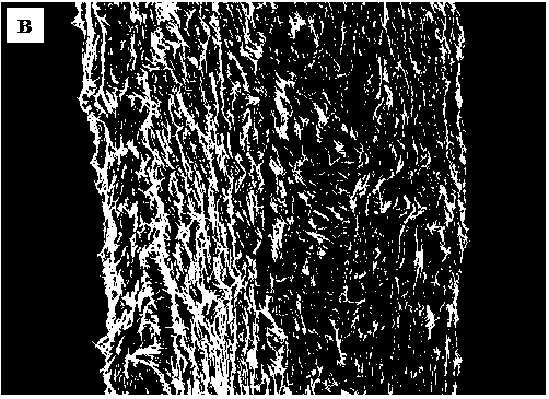 Method for preparing silver nano-wire and graphene-based calcium alginate composite conductive fibers