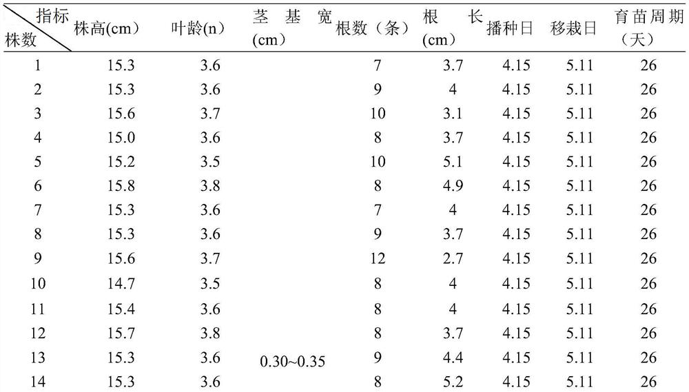 Rice seedling raising bed soil, application and seedling raising method