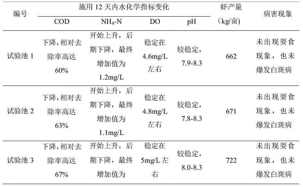 Enteromorpha microbial agent and preparation method thereof