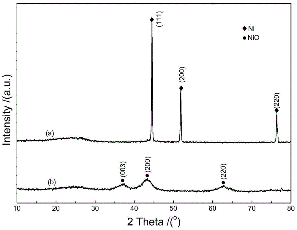 N-doped porous carbon/NiO composite material and preparation method therefor