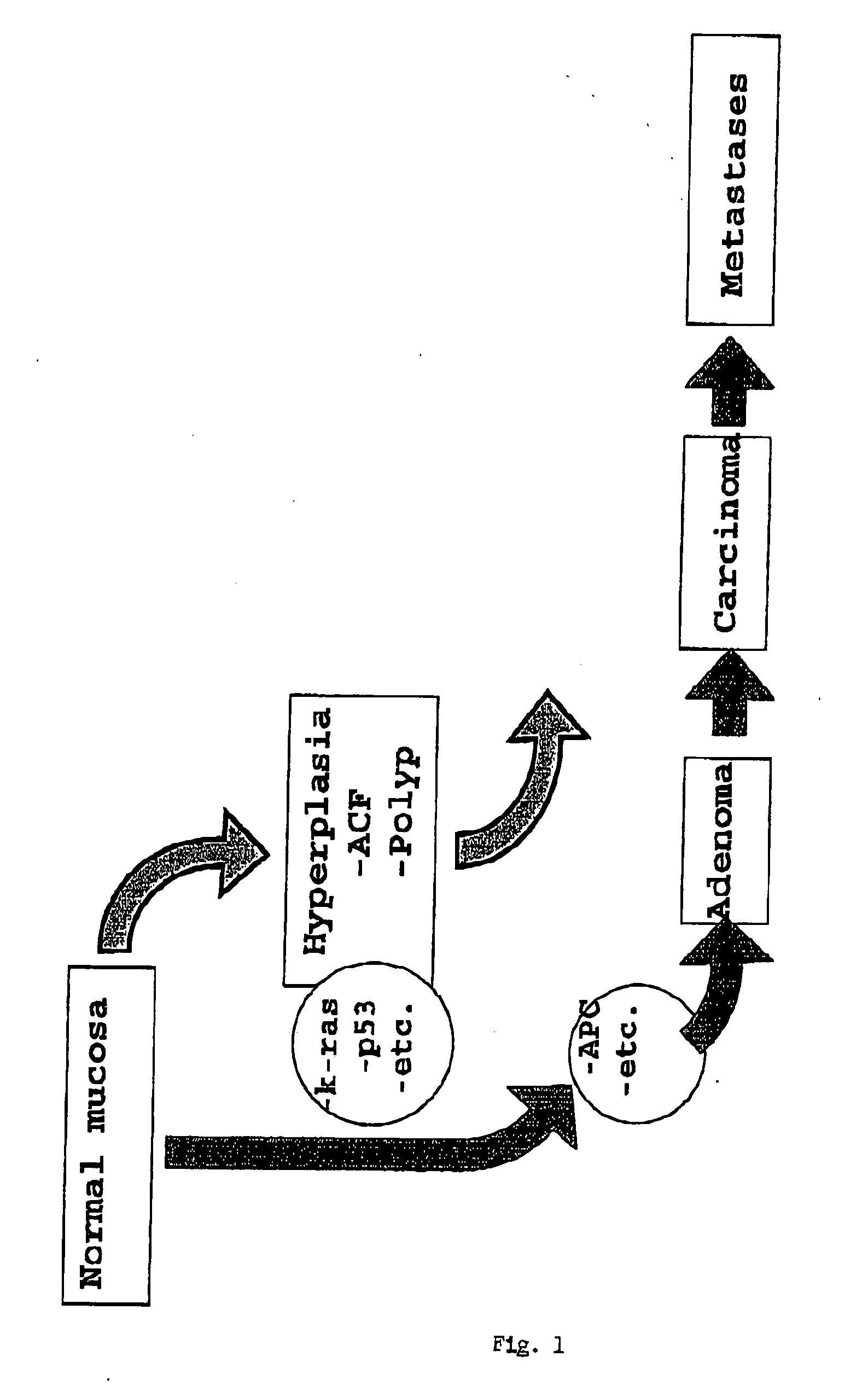 Screening method