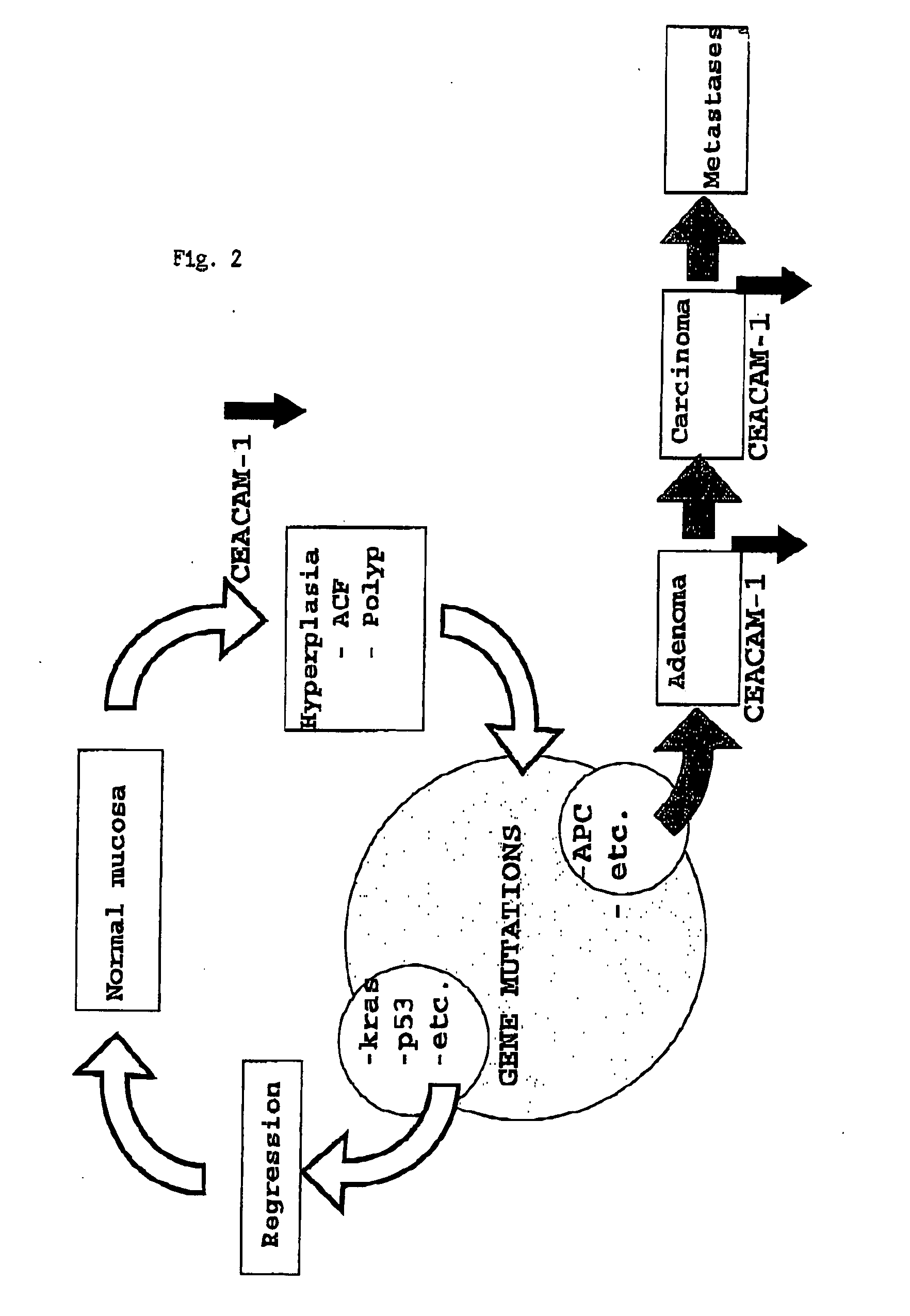 Screening method