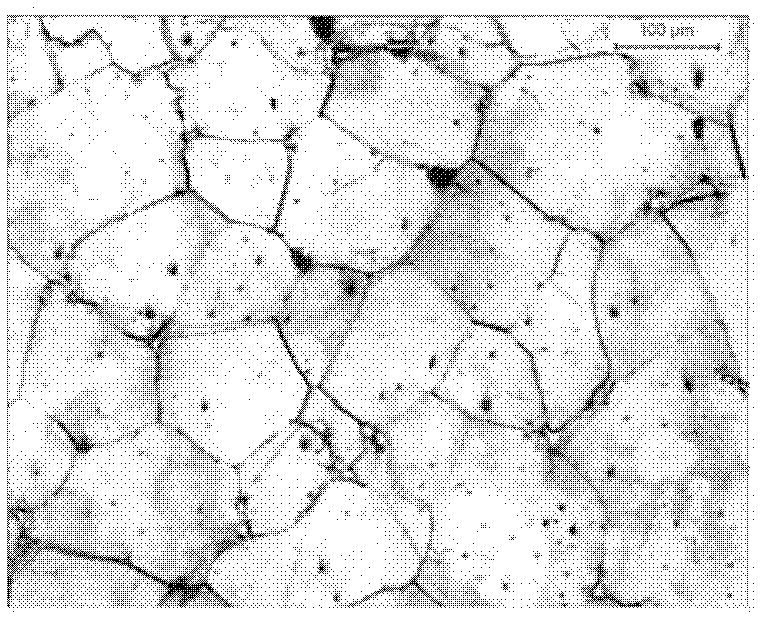 Method for full mold-filling casting below melting point