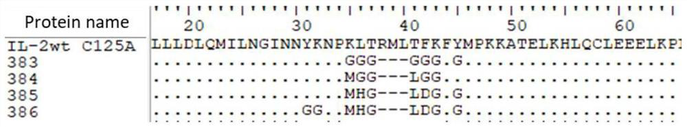 Interleukin-2 mutant